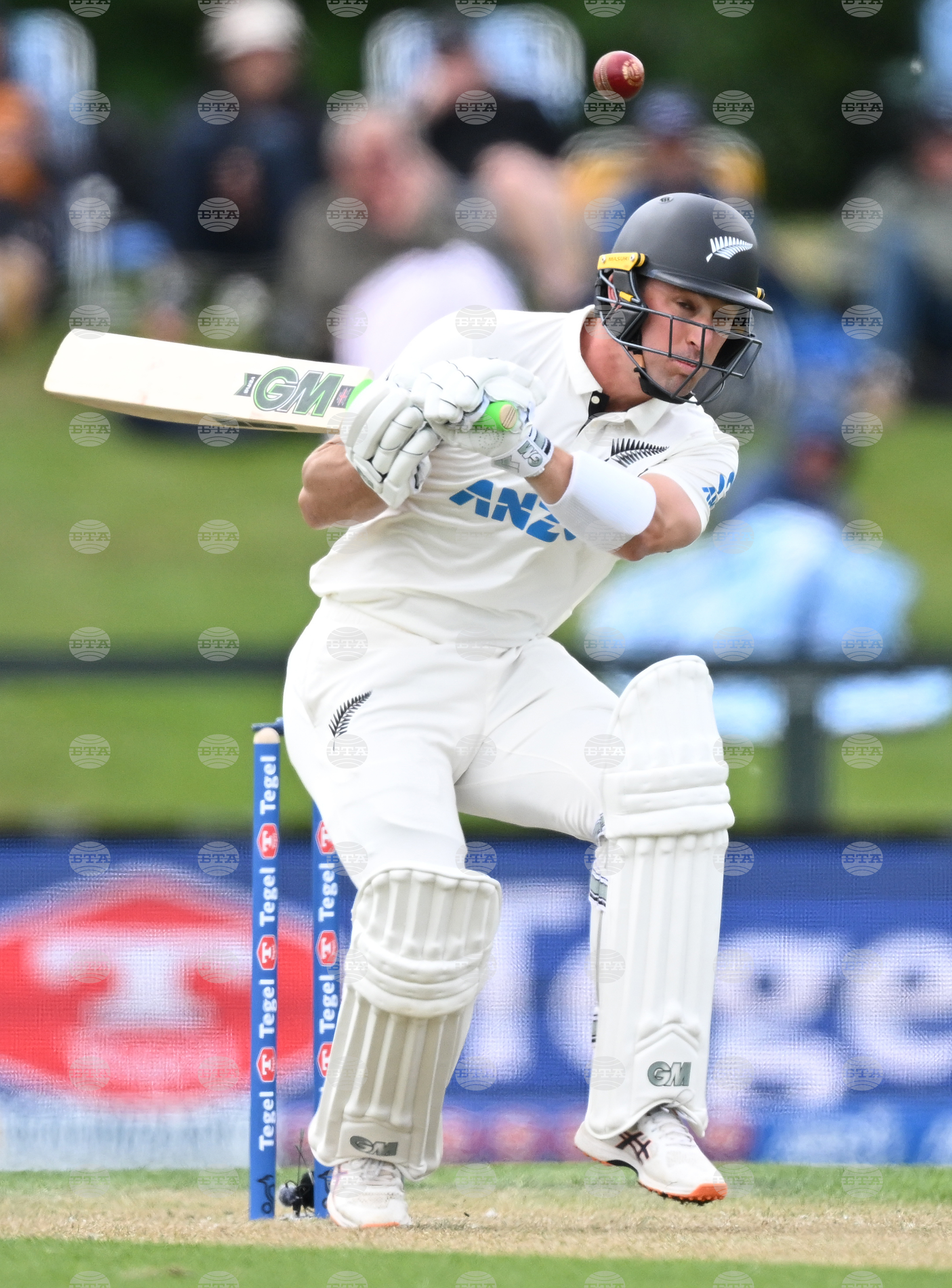 New Zealand West Indies Cricket