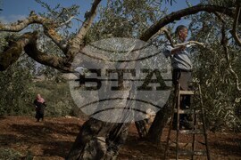 West Bank Settler Violence