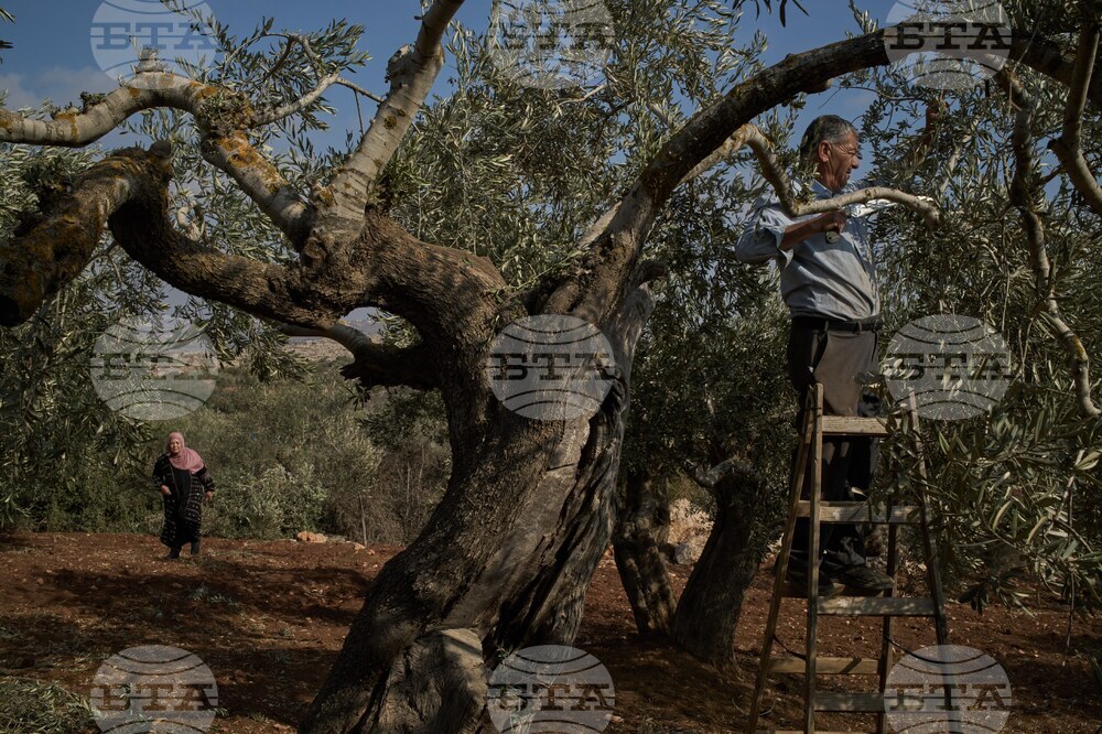 West Bank Settler Violence