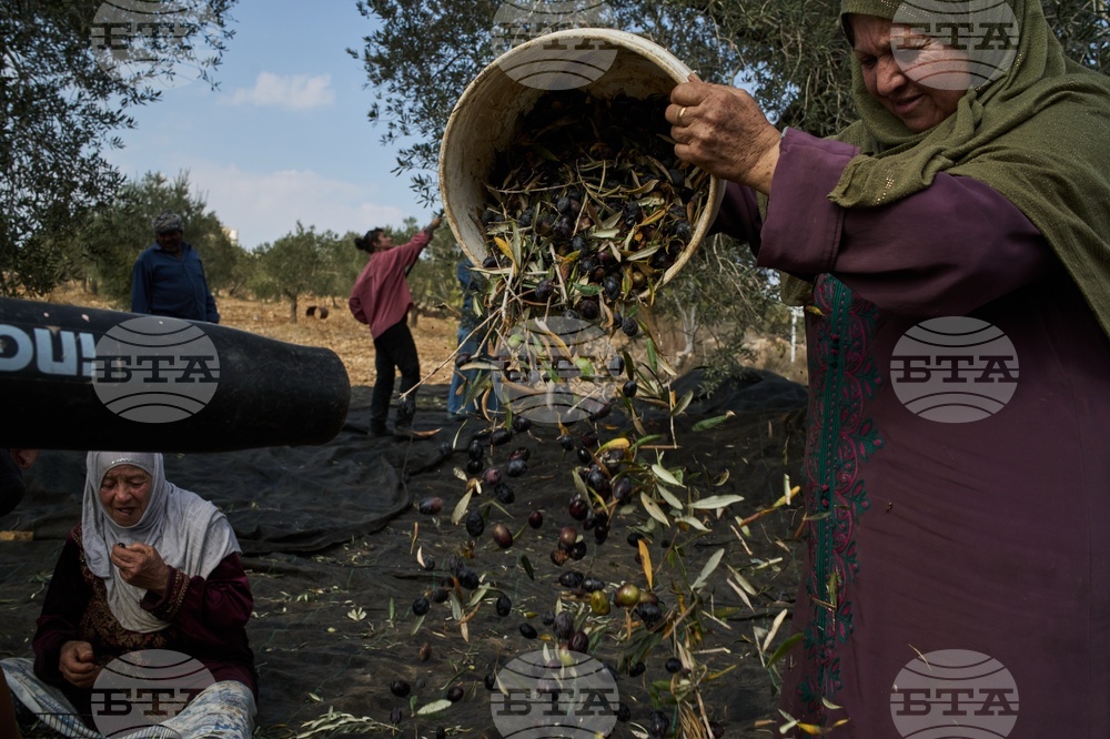 West Bank Settler Violence