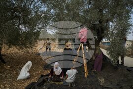 West Bank Settler Violence