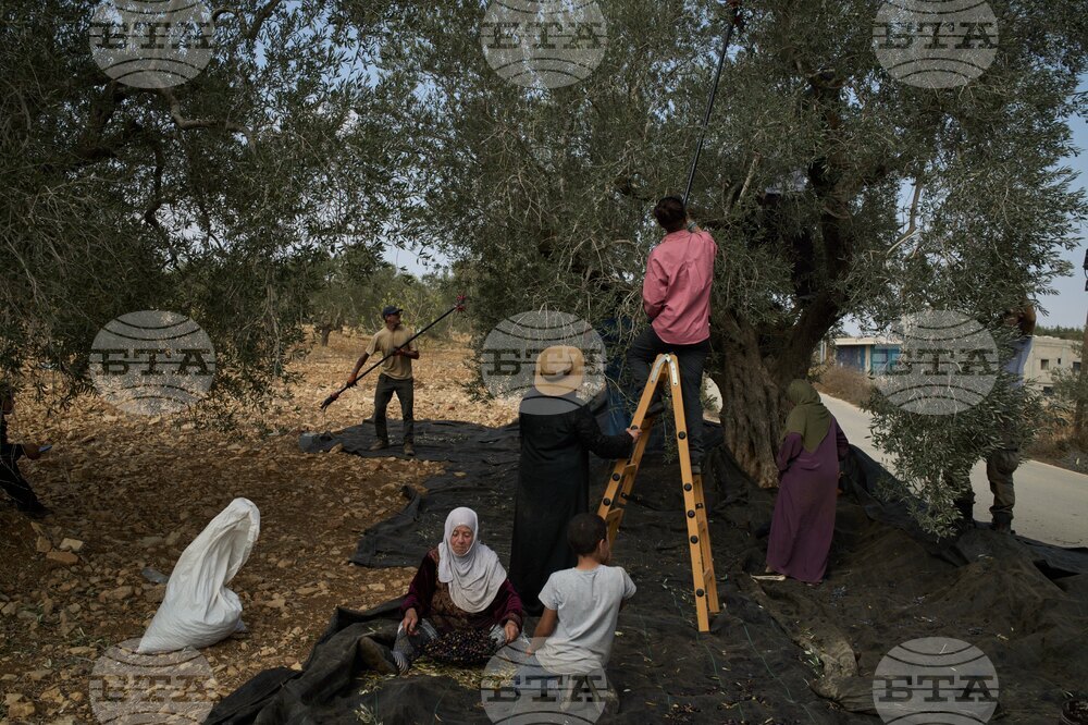 West Bank Settler Violence