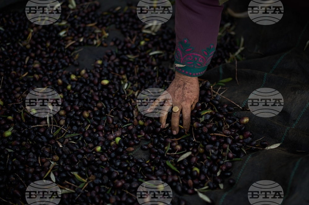 West Bank Settler Violence