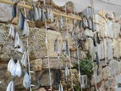 Снимка: Община Созопол