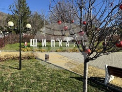 Шипка - Коледа - подготовка