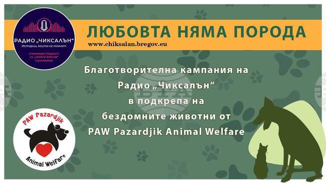 Училищното радио „Чиксалън“ към Средно училище „Георги Брегов“ в Пазарджик започва благотворителна кампания в помощ на бездомните животни