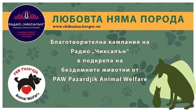 Училищното радио „Чиксалън“ към Средно училище „Георги Брегов“ в Пазарджик започва благотворителна кампания в помощ на бездомните животни