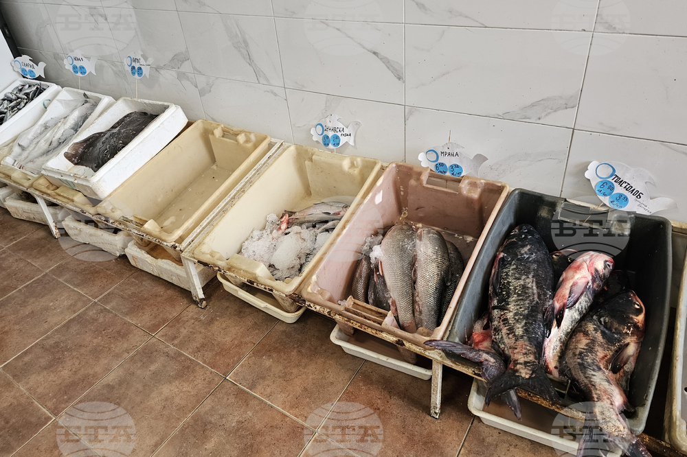 Русе - риба - цени