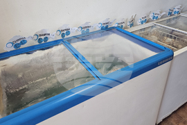 Русе - риба - цени