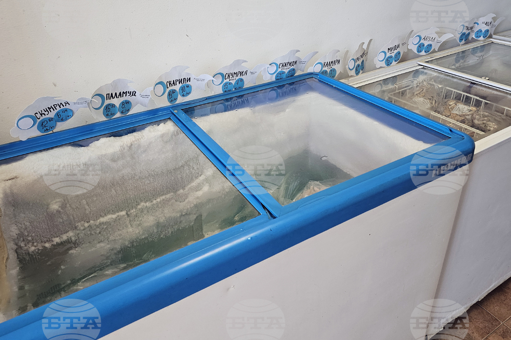 Русе - риба - цени