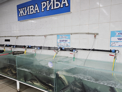 Русе - риба - цени