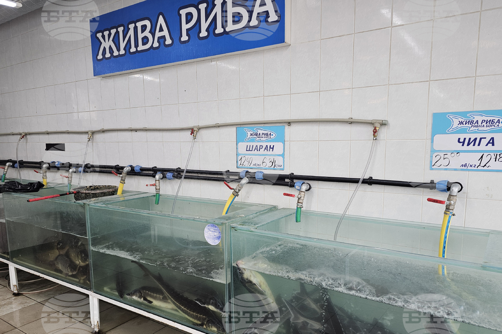 Русенци залагат предимно на традиционния шаран за празничната си трапеза на Никулден