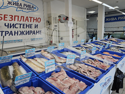 Русе - риба - цени