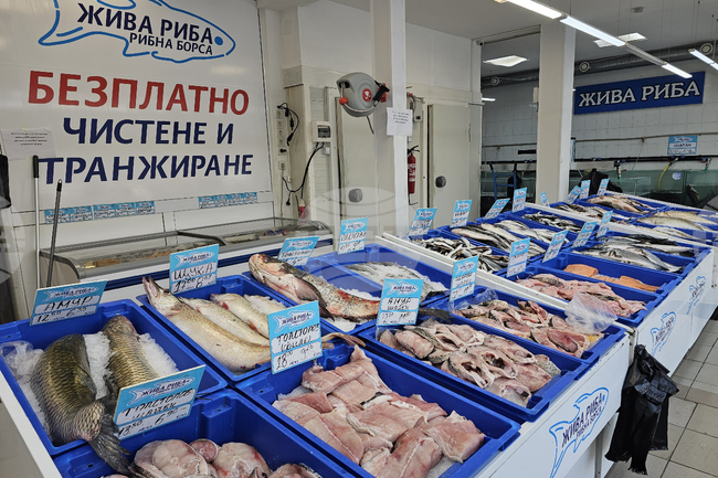 Русе - риба - цени