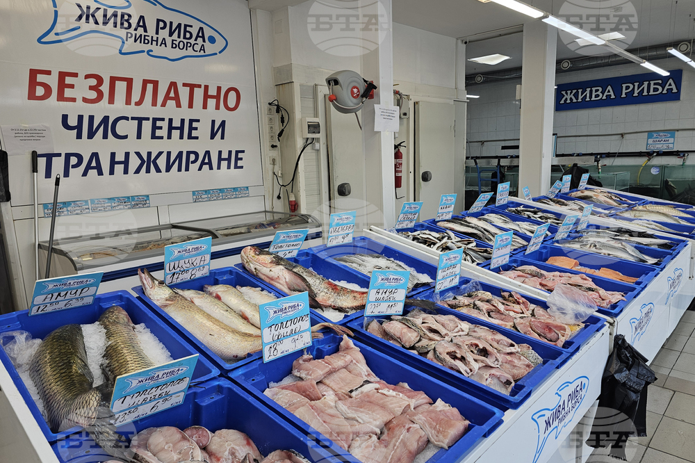 Русе - риба - цени