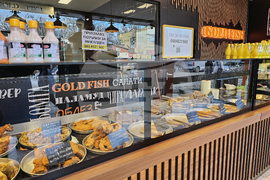 Русе - риба - цени