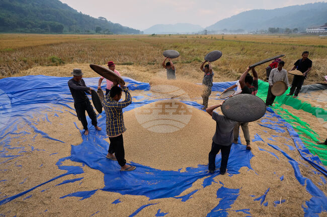 APTOPIX India Daily Life