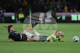 Australia New Zealand Soccer