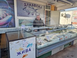 Разград - Никулден - риба - цена