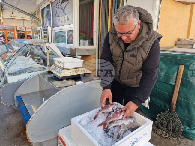 Разград - Никулден - риба - цена