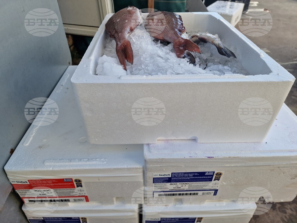 Разград - Никулден - риба - цена