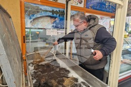 Разград - Никулден - риба - цена