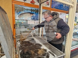 Разград - Никулден - риба - цена