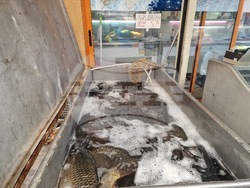 Разград - Никулден - риба - цена