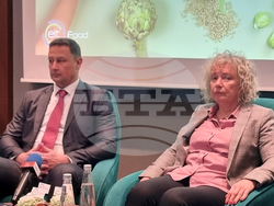 Варна - Икономически университет - проект