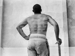 „Повече от една снимка“ представя историята на българската фотография през ХХ век в Софийската градска художествена галерия. Снимка: СГХГ