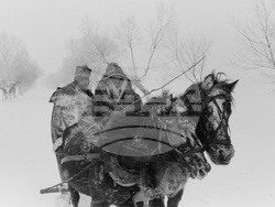 „Повече от една снимка“ представя историята на българската фотография през ХХ век в Софийската градска художествена галерия. Снимка: СГХГ