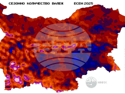 Фигура 3, илюстрация  НИМХ