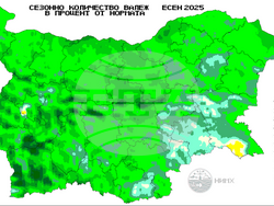 Фигура 4, илюстрация  НИМХ