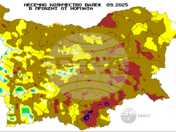 Фигура 5-9, илюстрация  НИМХ