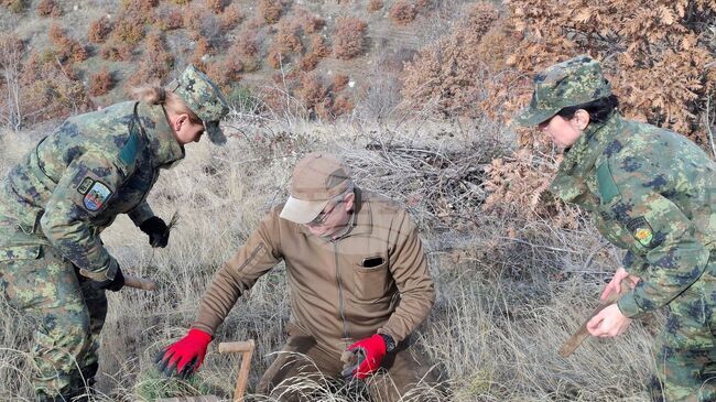 Военнослужещи от Благоевград заедно с горски служители засадиха над 6000 фиданки в район край Симитли, засегнат от пожар