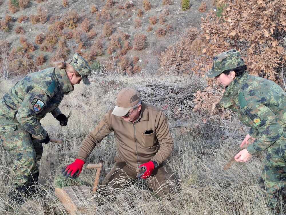 Военнослужещи от Благоевград заедно с горски служители засадиха над 6000 фиданки в район край Симитли, засегнат от пожар