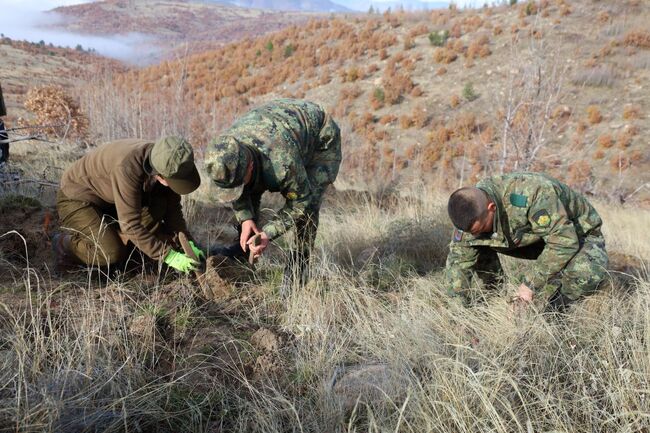 МО: Военнослужещи от Сухопътните войски участваха в залесяване на опожарени терени край Симитли