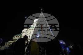 Коледна елха - светлини - запалване