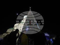 Коледна елха - светлини - запалване