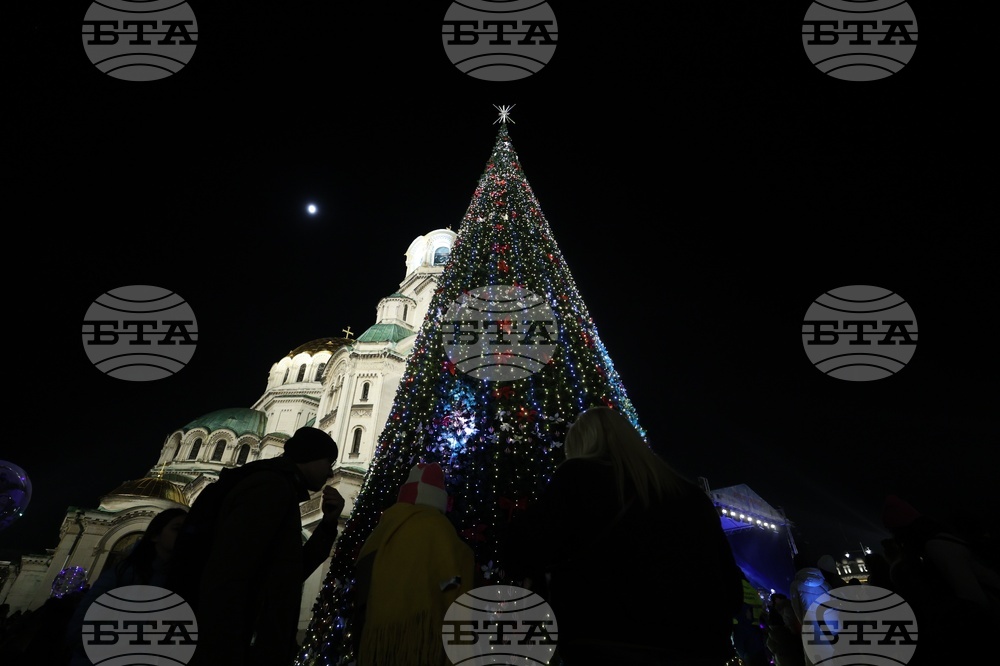Коледна елха - светлини - запалване