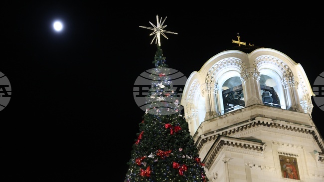 Коледната елха на София грейна тази вечер с над 20 000 светлини