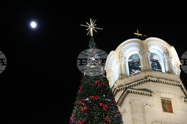 Коледната елха на София грейна тази вечер с над 20 000 светлини