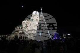 Коледна елха - светлини - запалване