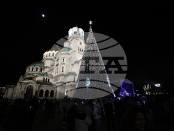 Коледна елха - светлини - запалване