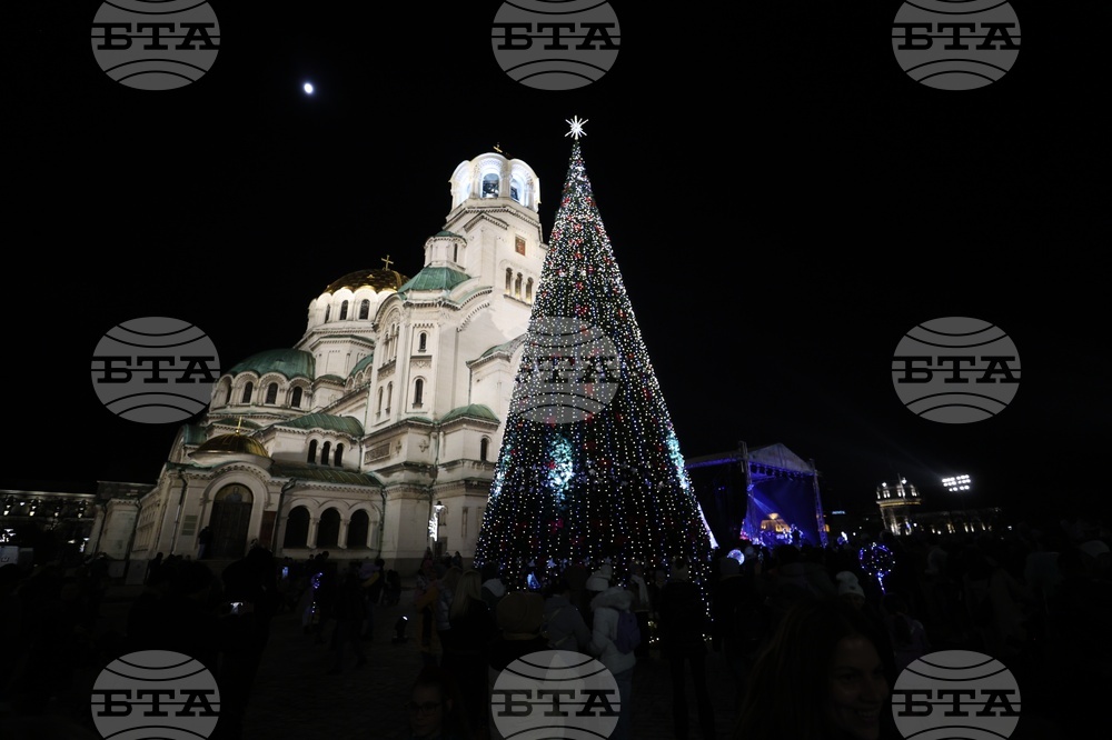 Коледна елха - светлини - запалване