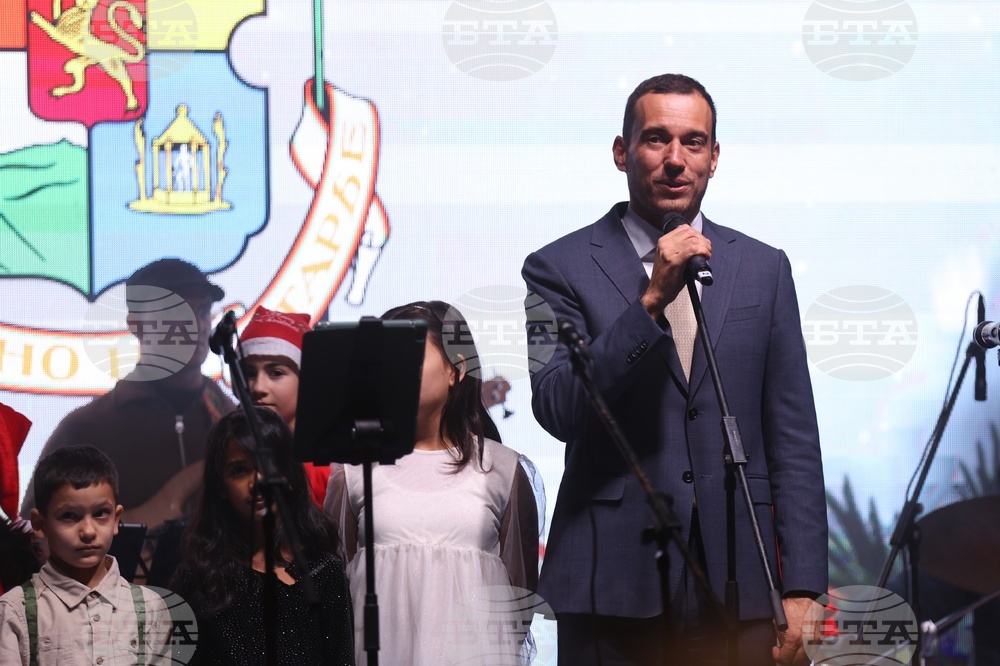 Коледна елха - светлини - запалване