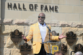 Hall of Fame Baseball