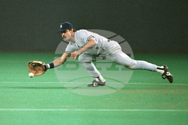 Hall of Fame Baseball