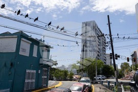 Puerto Rico Energy Crisis