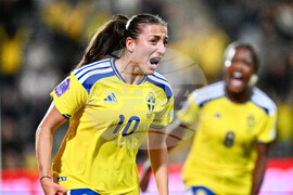 Sweden Nations League Soccer